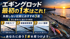 エギングロッド最初の1本はこれ！失敗しない比較とおすすめ3選